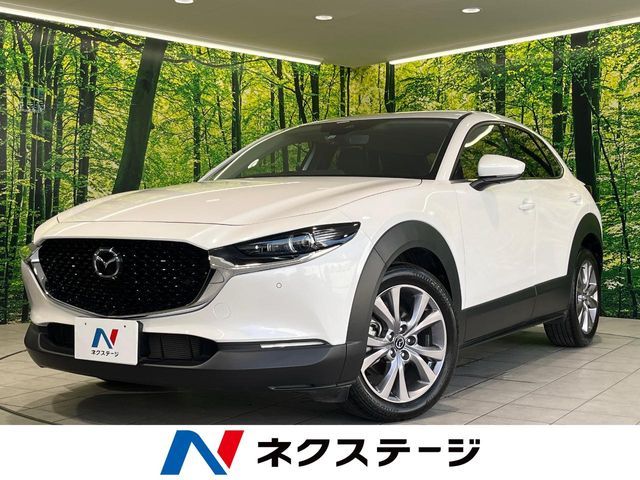 Photo of code 202526762261