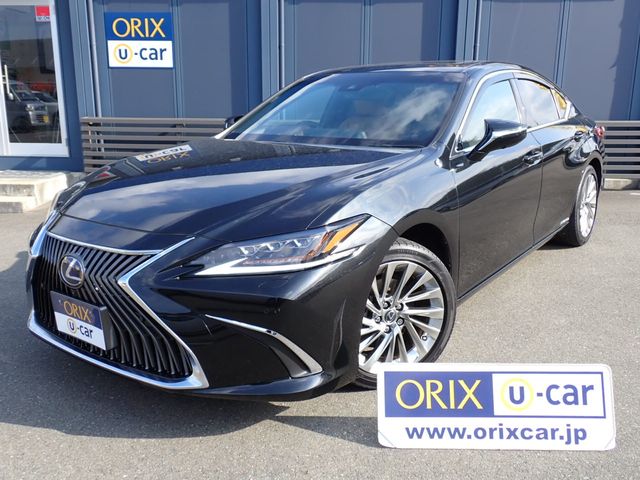 Photo of code 202526966655