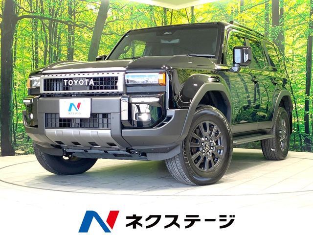 Photo of code 202527460087