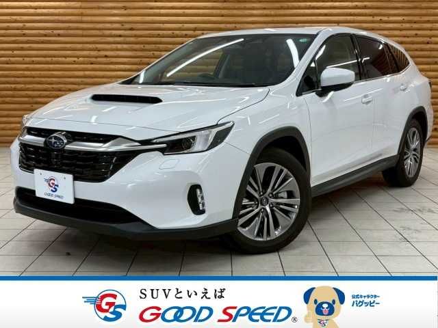 Photo of code 202528262403