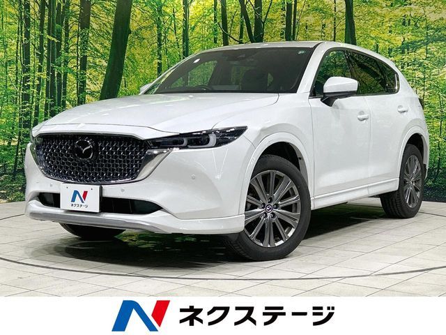 Photo of code 202528760437