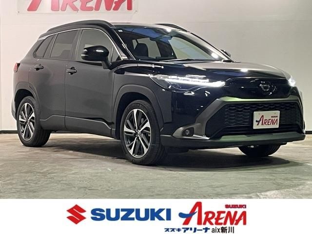 Photo of code 202529266316