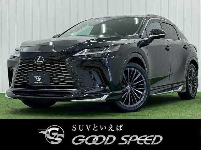 Photo of code 202529560094