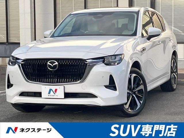 Photo of code 202529560860