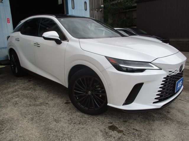 Photo of code 202529650192