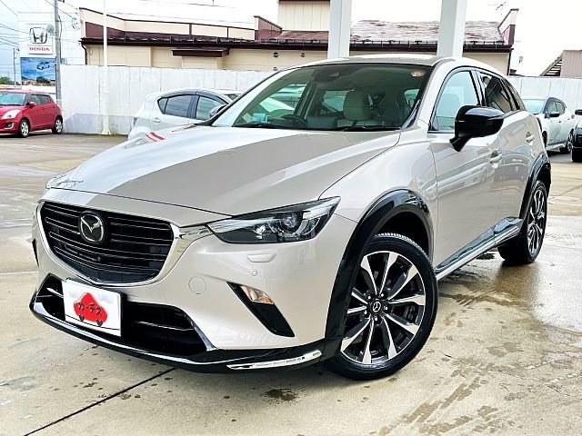 Photo of code 202529666006