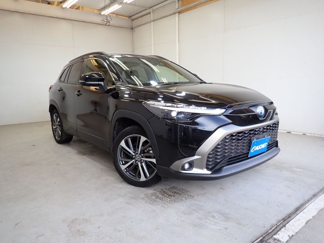 Photo of code 202530120127