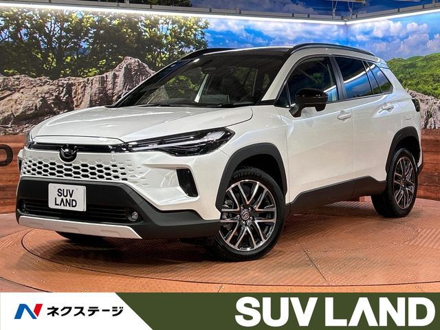 Photo of code 202530260625