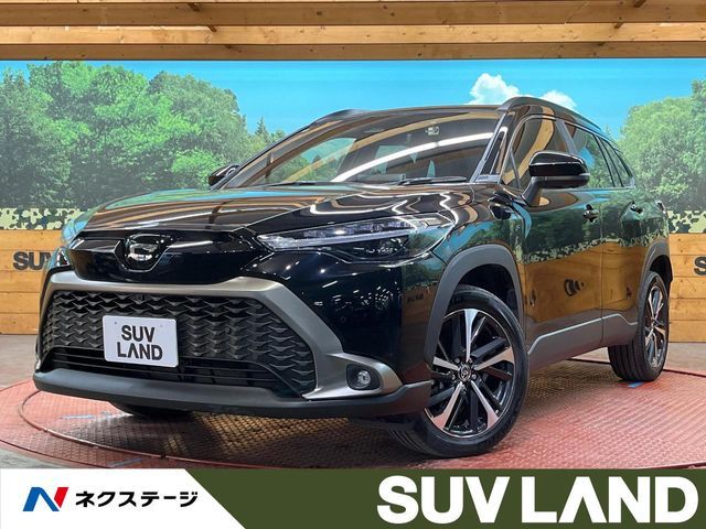 Photo of code 202530361809