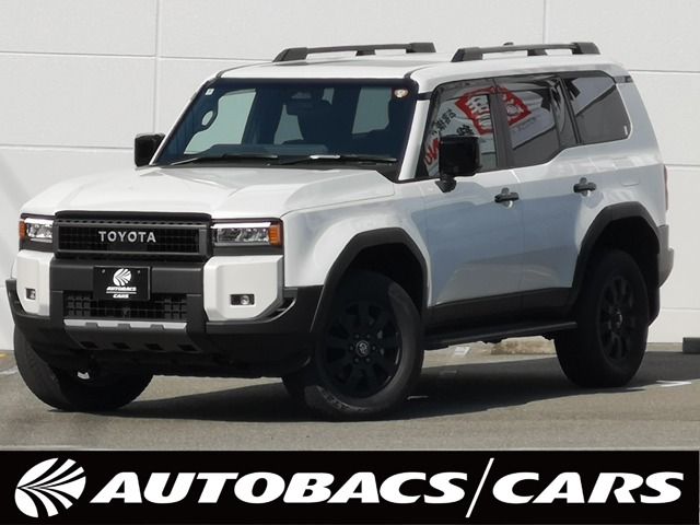 Photo of code 202530400109