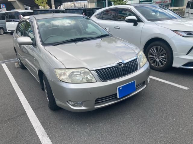 Photo of code 202530665726