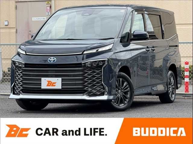 Photo of code 202530666408