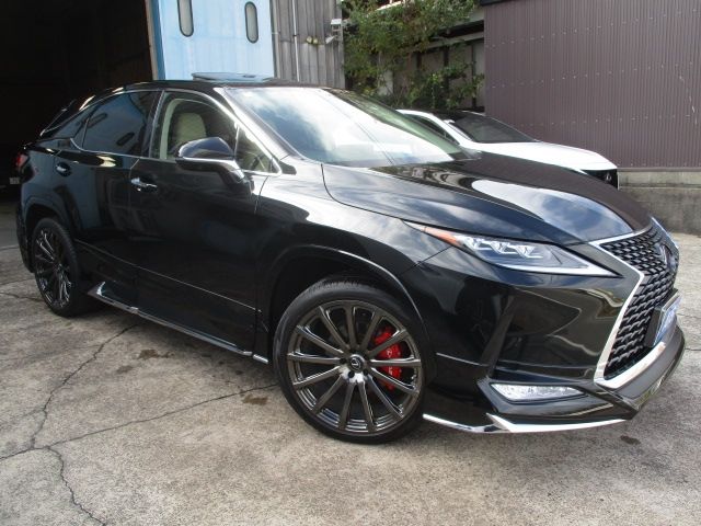 Photo of code 202530950076