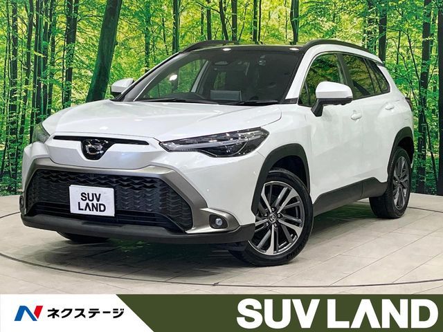 Photo of code 202530960595