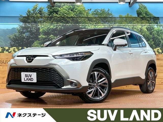 Photo of code 202531060914