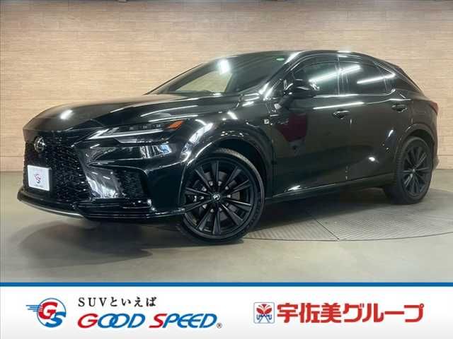 Photo of code 202531161008