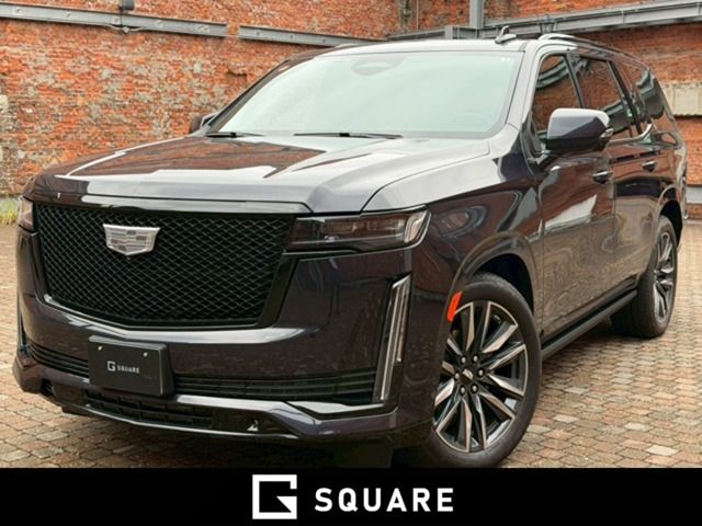 Photo of code 202531161823