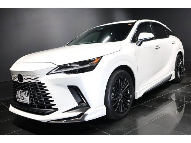 Photo of code 202531162373