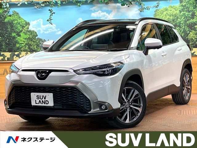 Photo of code 202531162582