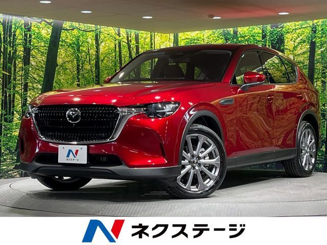 Photo of code 202531260959