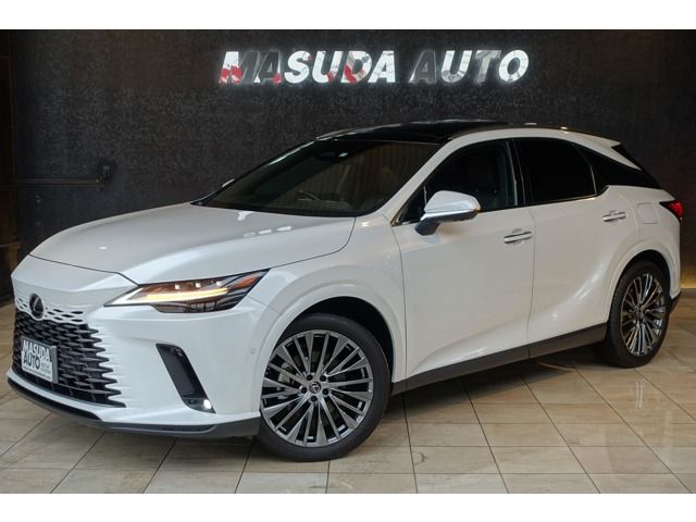 Photo of code 202531262900