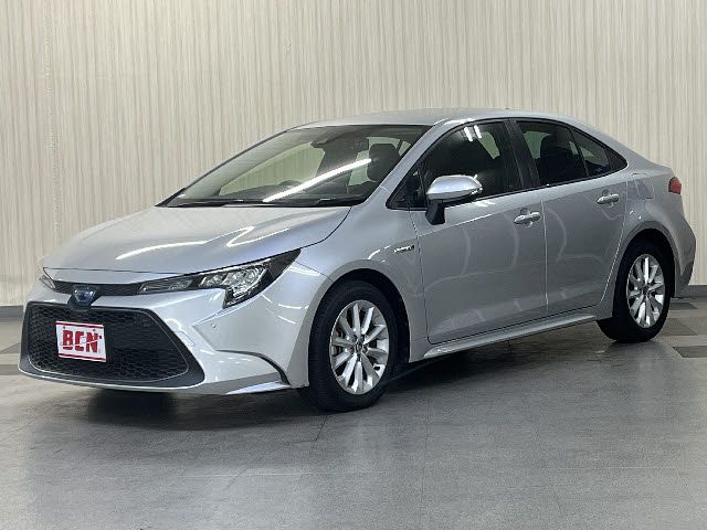 Photo of code 202531265138