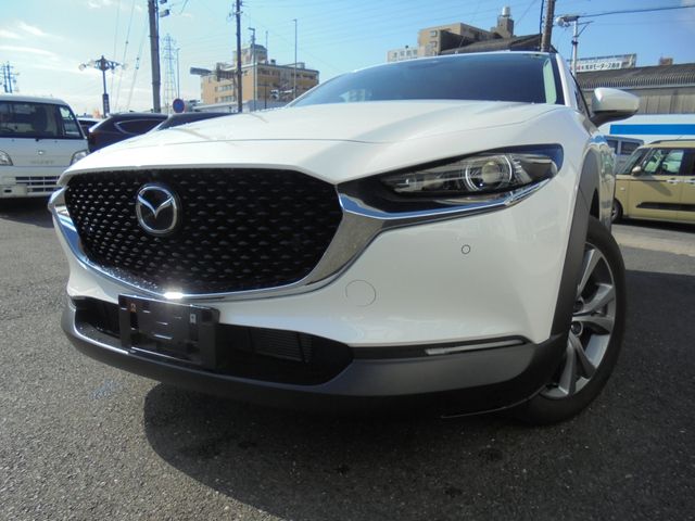 Photo of code 202531380002