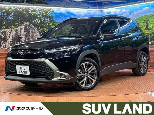 Photo of code 202531460874