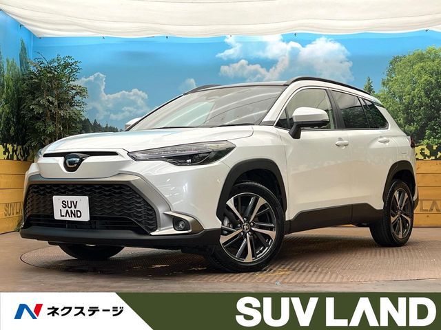 Photo of code 202531461069