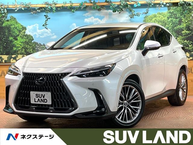 Photo of code 202531462115