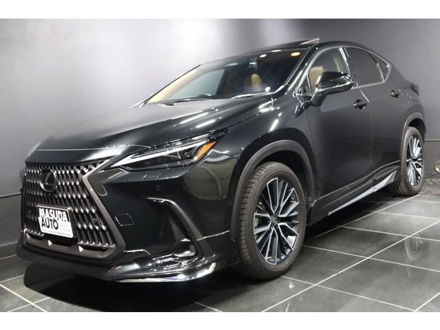 Photo of code 202531462200