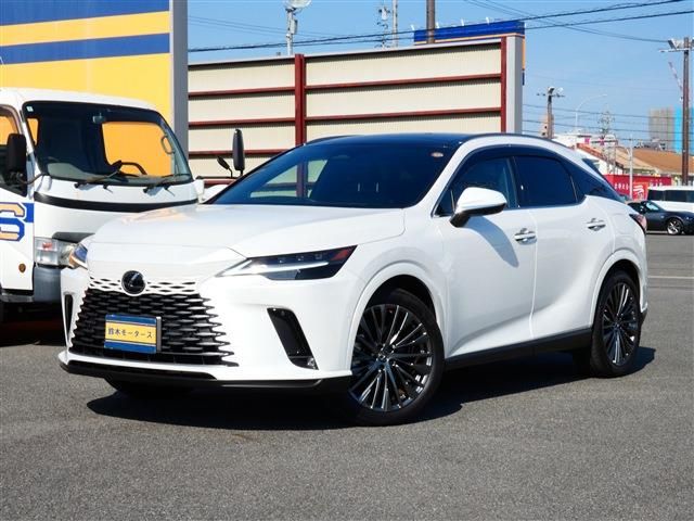 Photo of code 202531465951