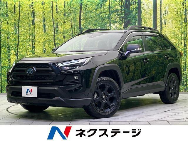 Photo of code 202531560904