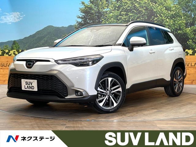 Photo of code 202531561216