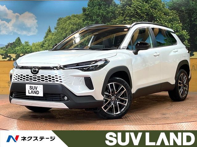 Photo of code 202531561665