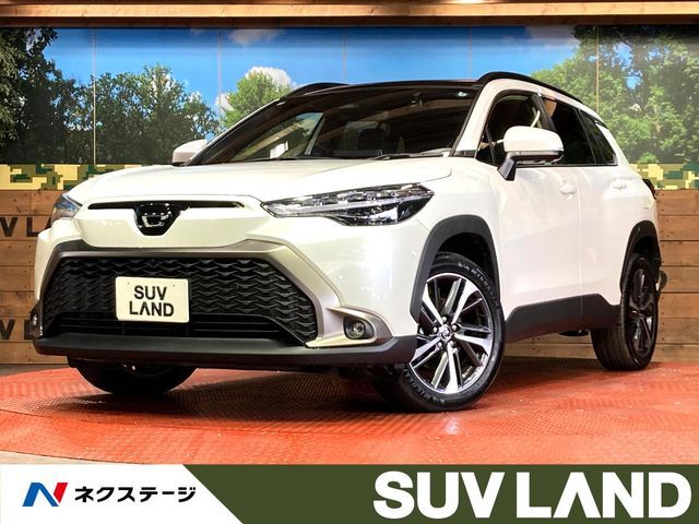 Photo of code 202531562188