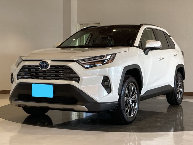 Photo of code 202531580010