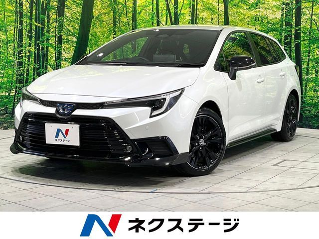 Photo of code 202531661091