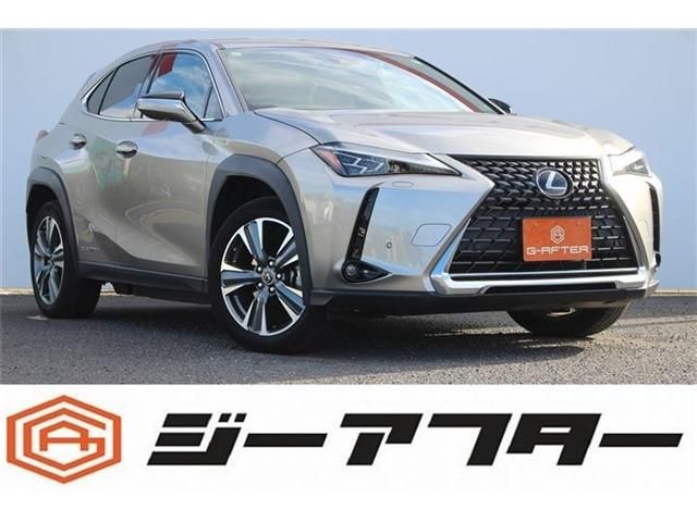 Photo of code 202531666369