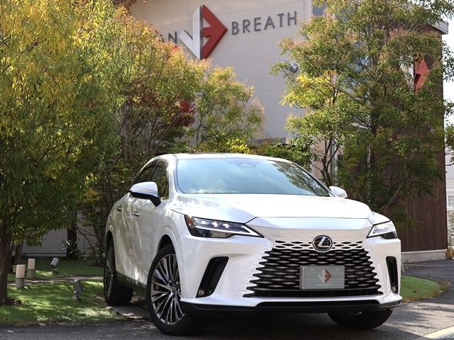 Photo of code 202531720188