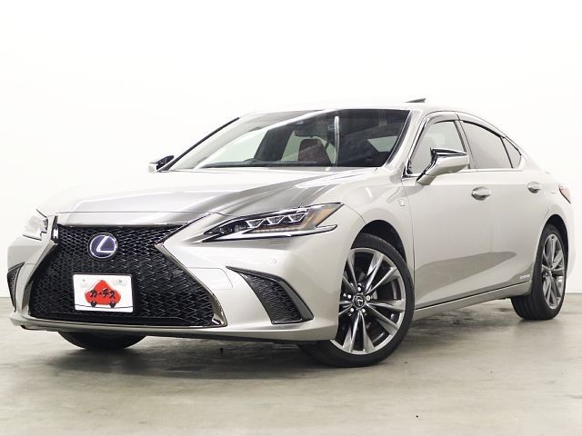 Photo of code 202531865556