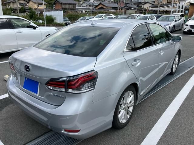 Photo of code 202531866798