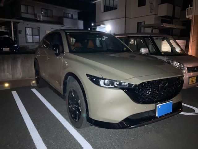 Photo of code 202531965743