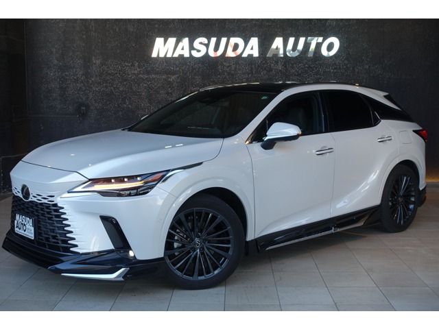 Photo of code 202532061978