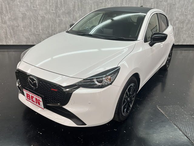 Photo of code 202532065180