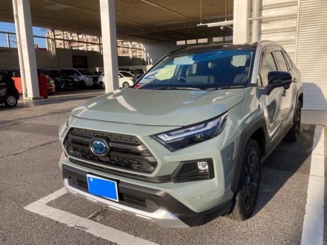 Photo of code 202532065607