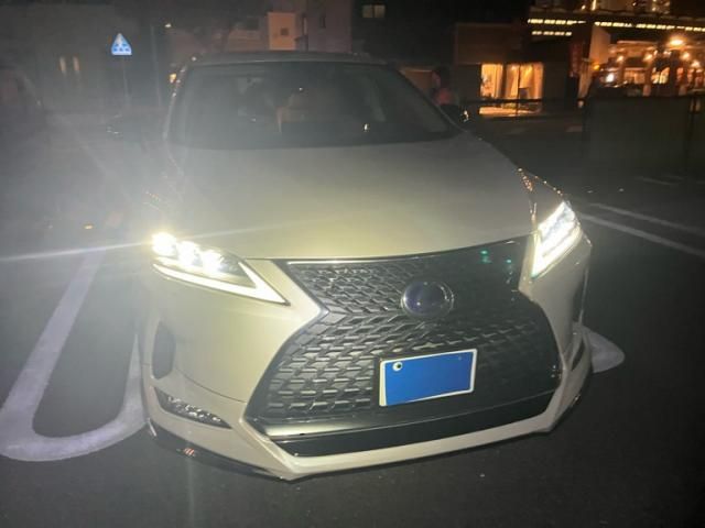 Photo of code 202532066386