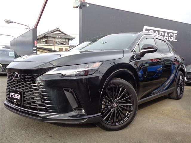 Photo of code 202532266032