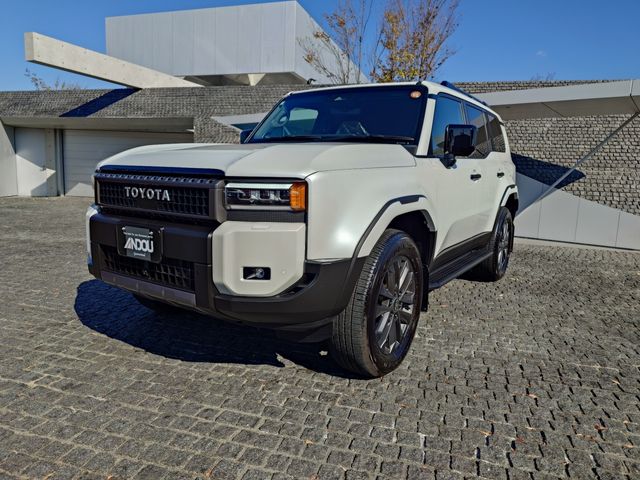 Photo of code 202532650182