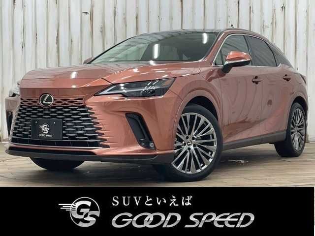 Photo of code 202532760738